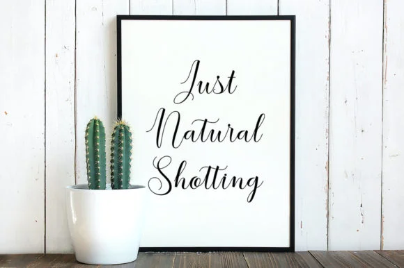 The Brilliant Shine Font by Stellar Studio — Script Handwritten Font — thumbnail 7