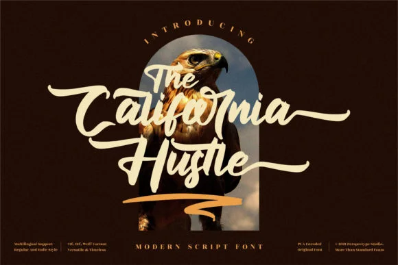 The California Hustle Font by Perspectype — Script Handwritten Font