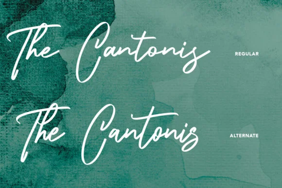 The Frost Modern Script Font by Maulana Creative — Script Handwritten Font — thumbnail 2