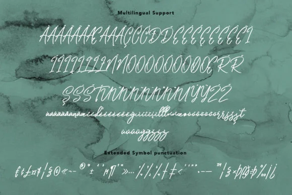 The Frost Modern Script Font by Maulana Creative — Script Handwritten Font — thumbnail 8
