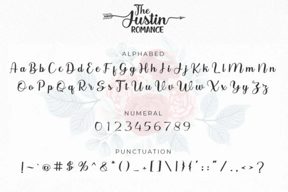 The Justin Romance Font by Struggle Studio — Script Handwritten Font — thumbnail 5