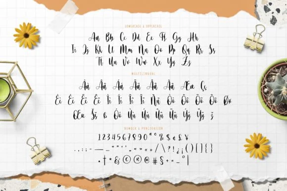 The Softone Font by Fype Co. — Script Handwritten Font — thumbnail 5
