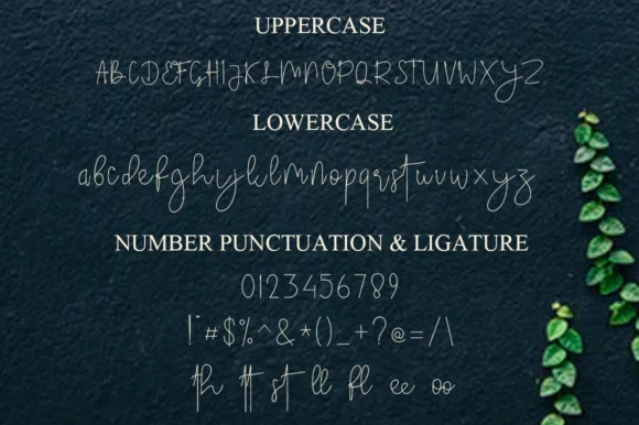 The Sorcoter Signature Font by Gatra Std — Script Handwritten Font — thumbnail 6