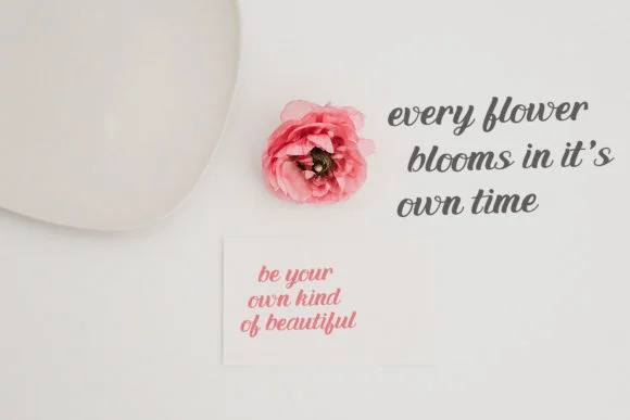 The Venda Font by Maulana Creative — Script Handwritten Font — thumbnail 3