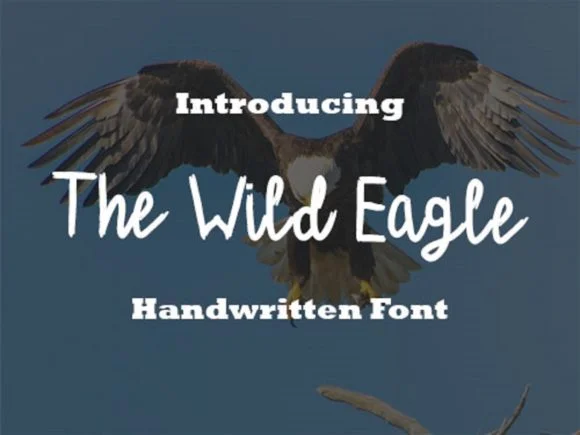The Wild Eagle Font by scriptstrategy — Script Handwritten Font