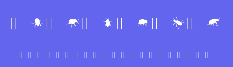 The Beetles by Fabiane Lima — Dingbats Font — thumbnail 3