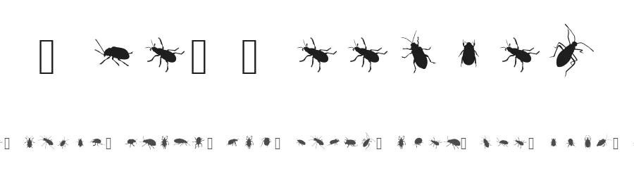 The Beetles by Fabiane Lima — Dingbats Font