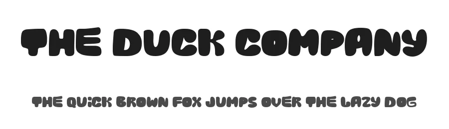 The Duck Company