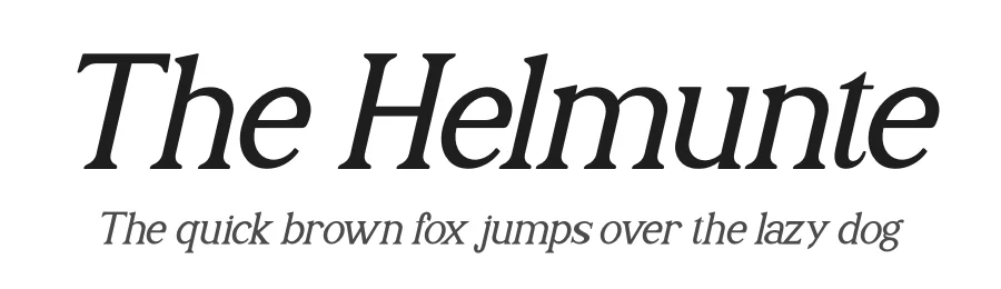The Helmunte by Letterena Studios — Serif Font