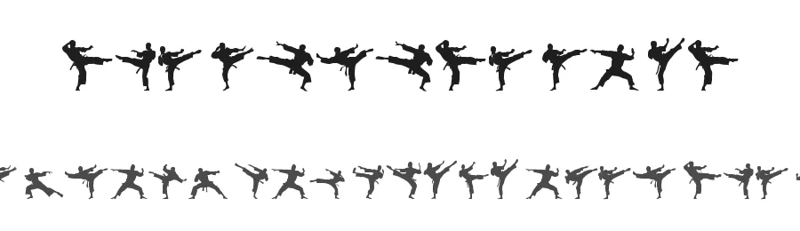 The Karate Do ST by Southype — Dingbats Font
