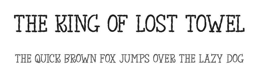 The King of Lost Towel