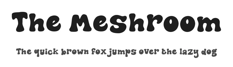 The Meshroom