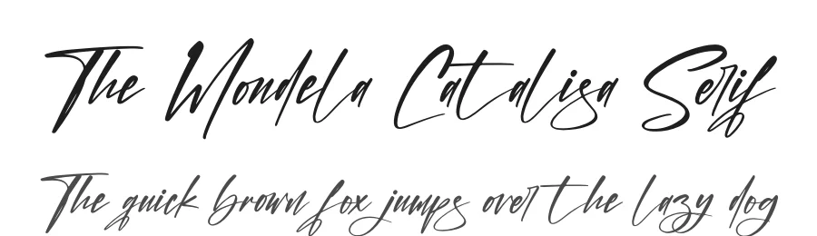 The Mondela Catalisa Serif