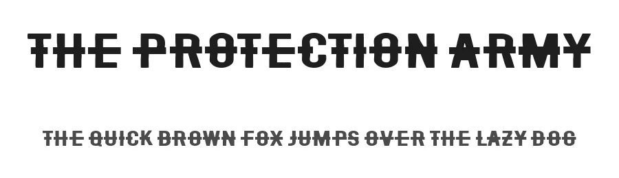 The Protection Army