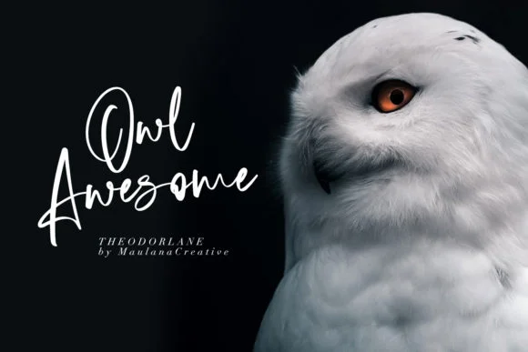 Theodorlane Font by Maulana Creative — Script Handwritten Font — thumbnail 4
