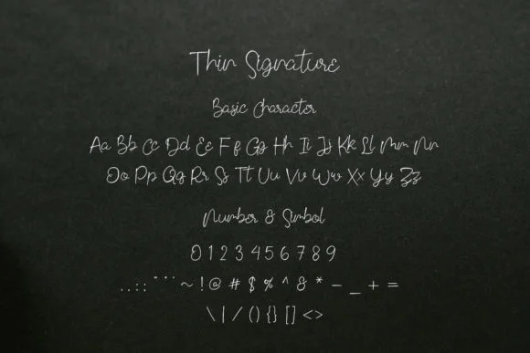 Thin Signature Font by Creassion Studio — Script Handwritten Font — thumbnail 4
