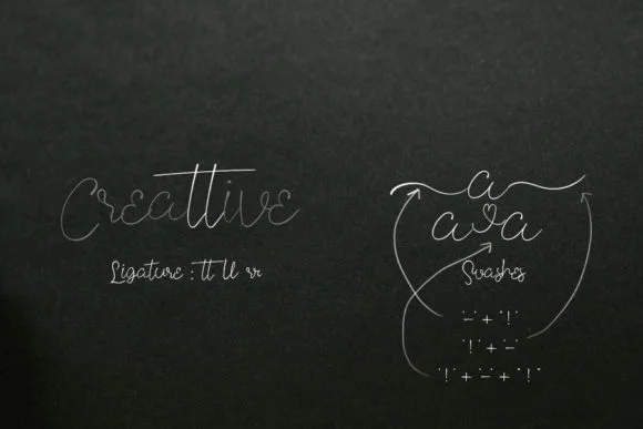 Thin Signature Font by Creassion Studio — Script Handwritten Font — thumbnail 5