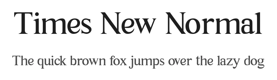Times New Normal by Juwanda Azi Mayuswa β Serif Font