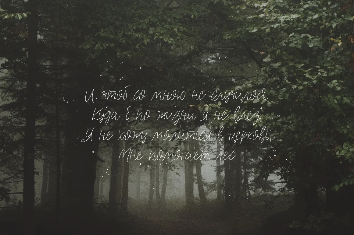 Tino Script Font by ChekArt — Script Handwritten Font — thumbnail 3