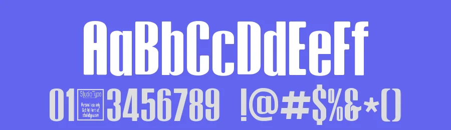 Tipo Press by Studio Typo — Sans Serif Font — thumbnail 3