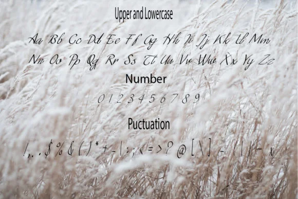 Toqwomeri Font by johndesign540 — Script Handwritten Font — thumbnail 2