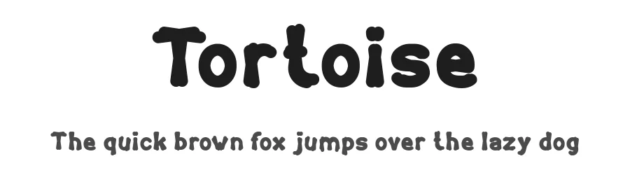 Tortoise