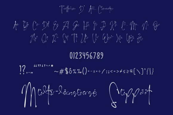 Trafalgar D' Signature Font by IntrovArtZone — Script Handwritten Font — thumbnail 4