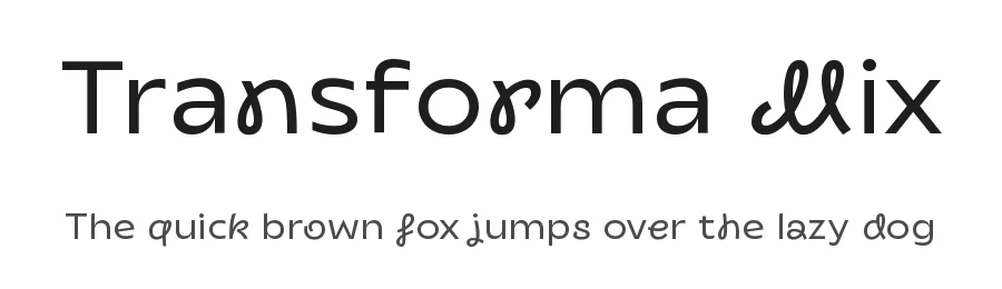 Transforma Mix