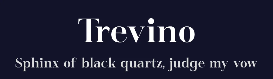 Trevino by Storytype Studio — Serif Font — thumbnail 2