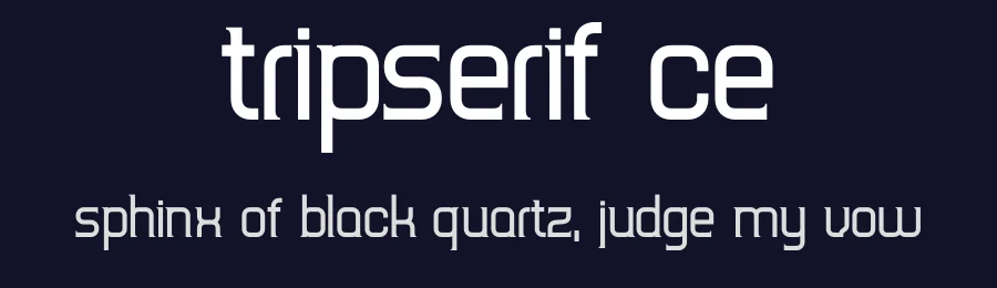 TripSerif CE by Matěj Sychra — Serif Font — thumbnail 2