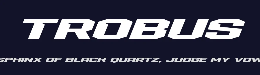 Trobus by Variatype — Display Font — thumbnail 2