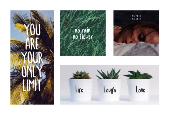 Troficanos Font by 24Design Studios — Script Handwritten Font — thumbnail 3