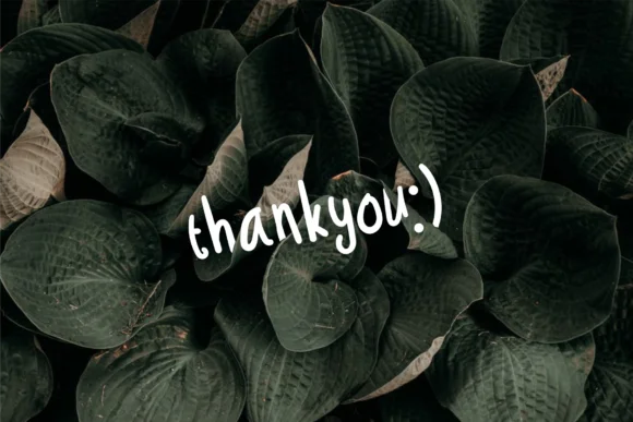 Troficanos Font by 24Design Studios — Script Handwritten Font — thumbnail 5