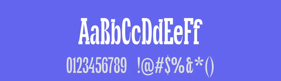 TT Cometus by TypeType Foundry — Serif Font — thumbnail 3