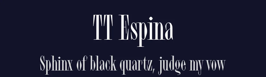 TT Espina by TypeType Foundry — Serif Font — thumbnail 2