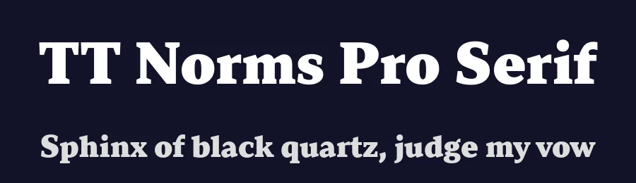 TT Norms Pro Serif by TypeType Foundry — Serif Font — thumbnail 2