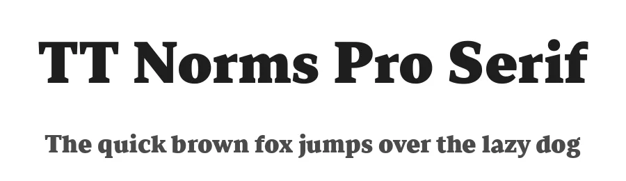 TT Norms Pro Serif