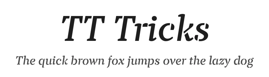 TT Tricks by TypeType Foundry — Serif Font