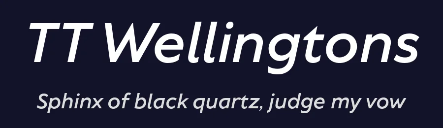 TT Wellingtons by TypeType Foundry — Sans Serif Font — thumbnail 2