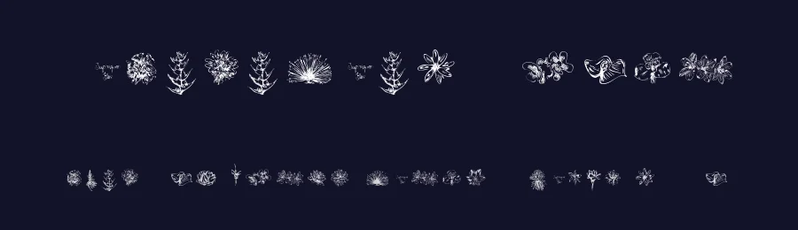 Tupiniquim Flora by Agência Tupiniquim — Dingbats Font — thumbnail 2