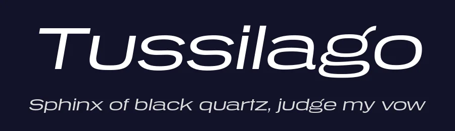 Tussilago by Typodermic Fonts — Sans Serif Font — thumbnail 2