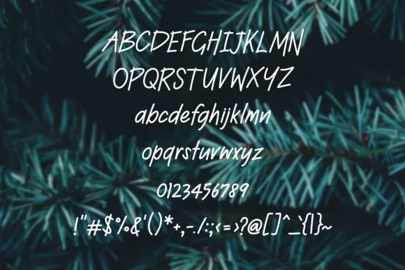 Twelve Month Font by Jyllyco — Script Handwritten Font — thumbnail 2