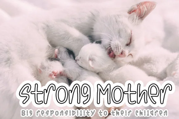 Twin Miaw Font by FL Space — Wedding Font — thumbnail 2