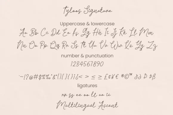 Tyloos Signature Font by attypestudio — Script Handwritten Font — thumbnail 7