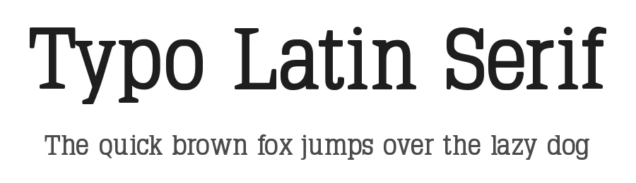 Typo Latin Serif by Manfred Klein β Serif Font