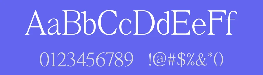 Vacation by Font Kingdom — Serif Font — thumbnail 3
