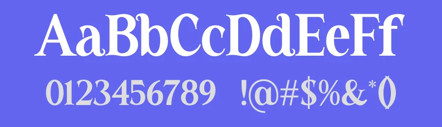 Valneck by Storytype Studio — Serif Font — thumbnail 3