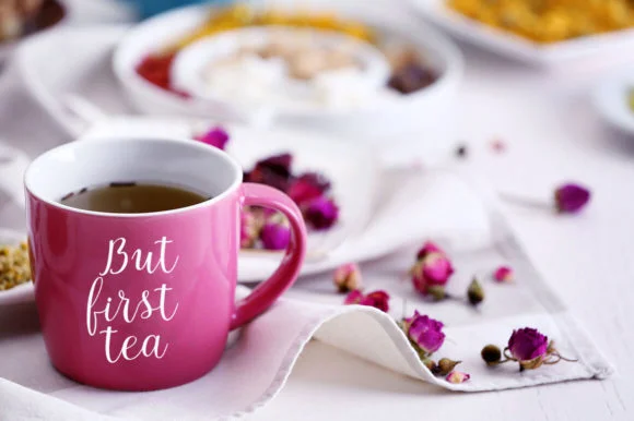 Vanila Font by Stellar Studio — Script Handwritten Font — thumbnail 4