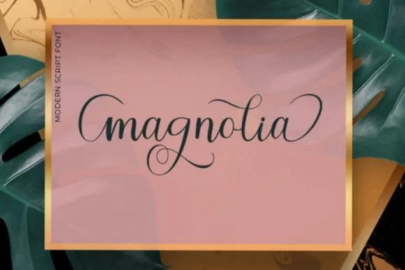 Vanila Font by Stellar Studio — Script Handwritten Font — thumbnail 6