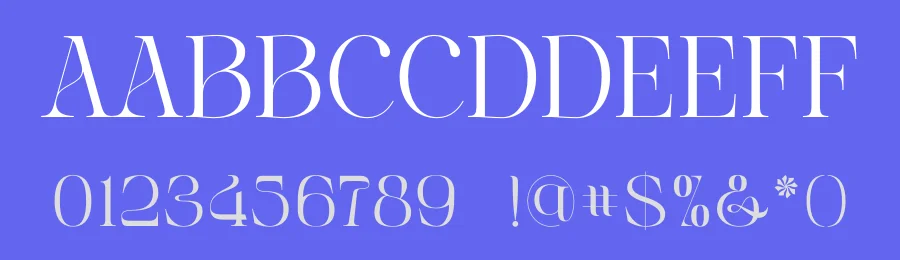 Velista by ToniStudio — Serif Font — thumbnail 3